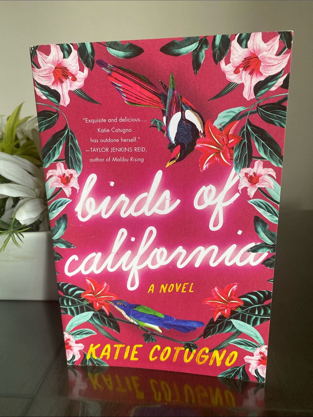 Birds of California Book by Katie Cotugno